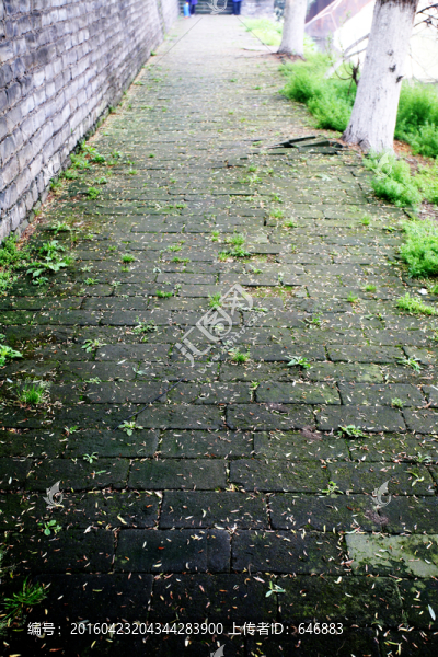 小路