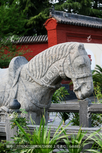 白馬寺,古建筑,洛陽佛教寺廟