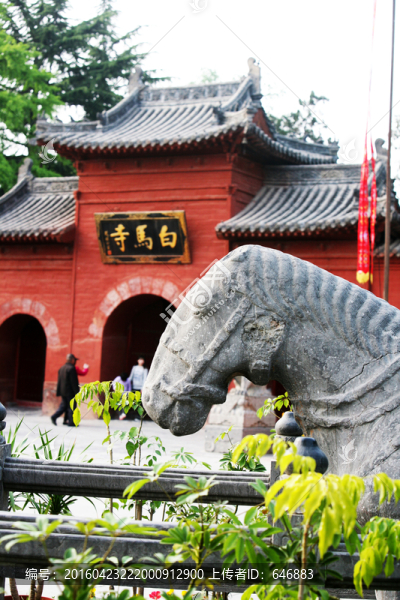 白馬寺,古建筑,洛陽佛教寺廟