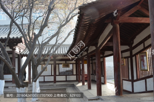 青龍寺櫻花開放時