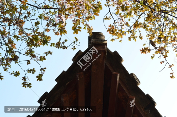 青龍寺