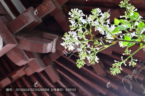 青龍寺