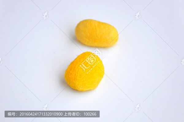 金色蠶繭