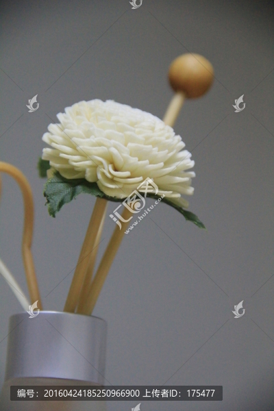 白色木花
