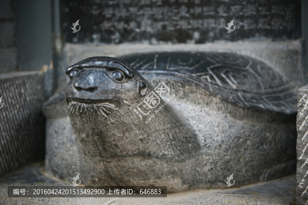 白馬寺,古建筑,洛陽佛教寺廟