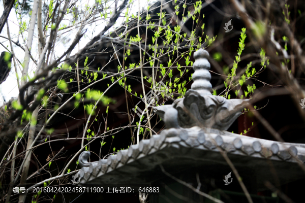 白馬寺,古建筑,洛陽佛教寺廟