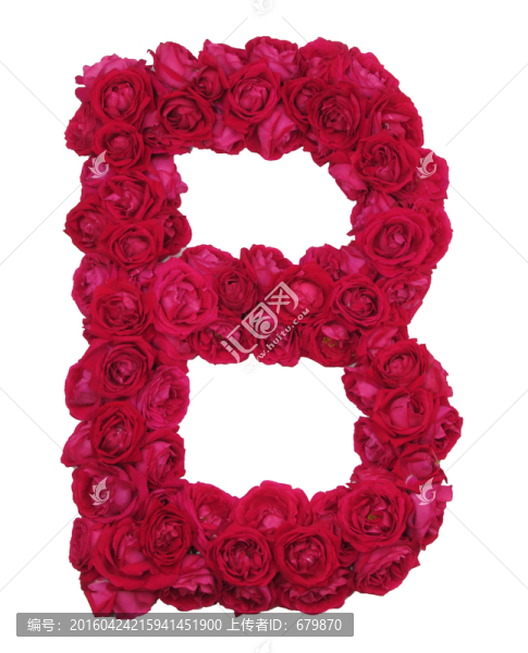 玫瑰花B字母