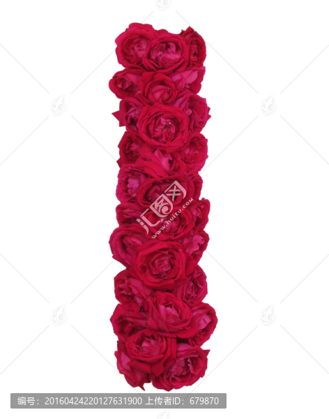 玫瑰花I字母