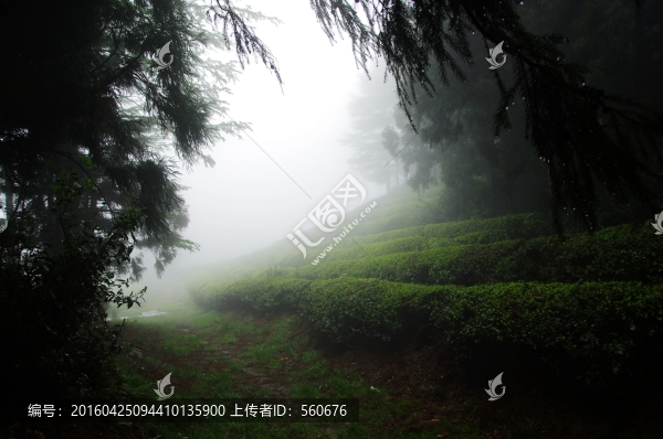 余姚,四明山