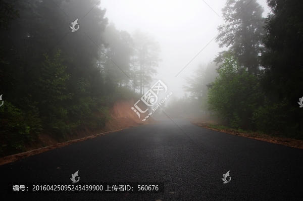 余姚,四明山