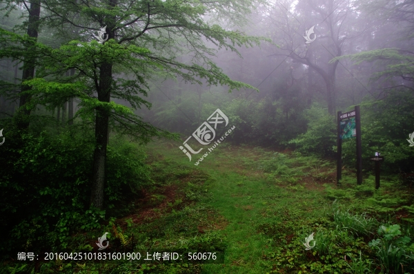 余姚,四明山
