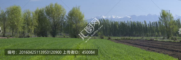 農(nóng)田