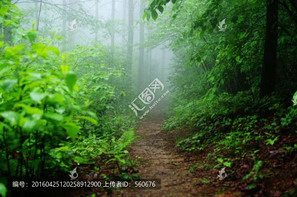 余姚,四明山