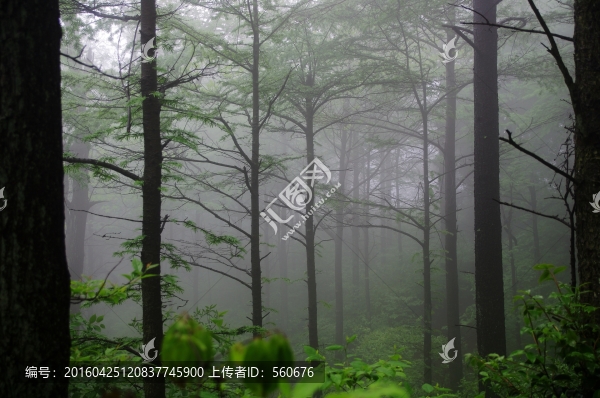 四明山