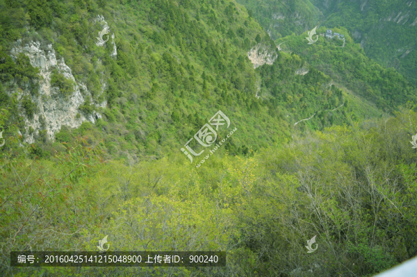 山