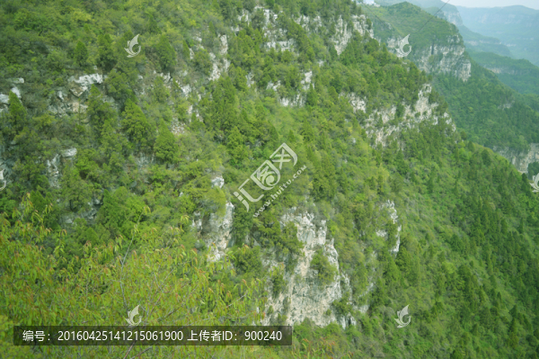 山
