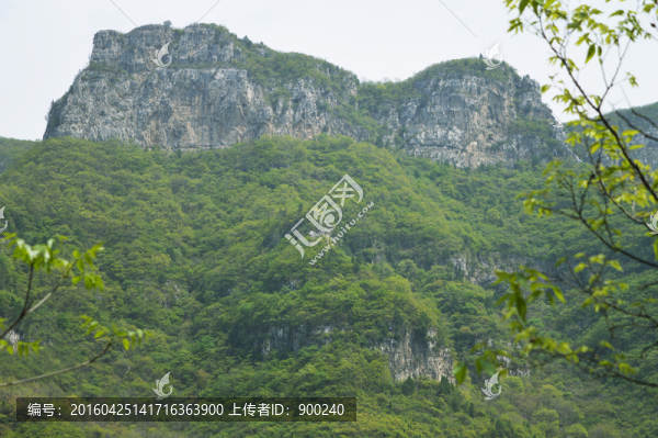 山