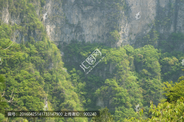 山