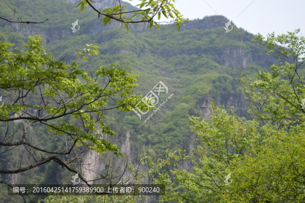 山