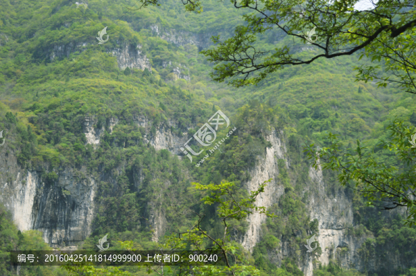 山