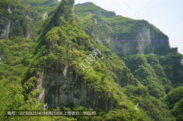 山
