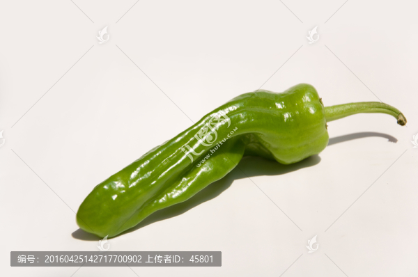 薄皮辣椒