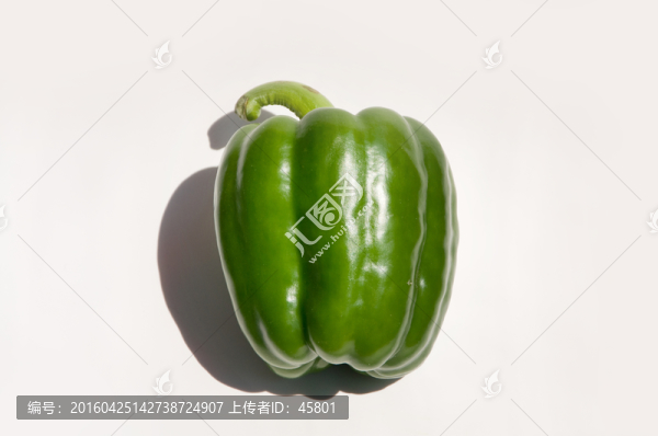 大圓椒