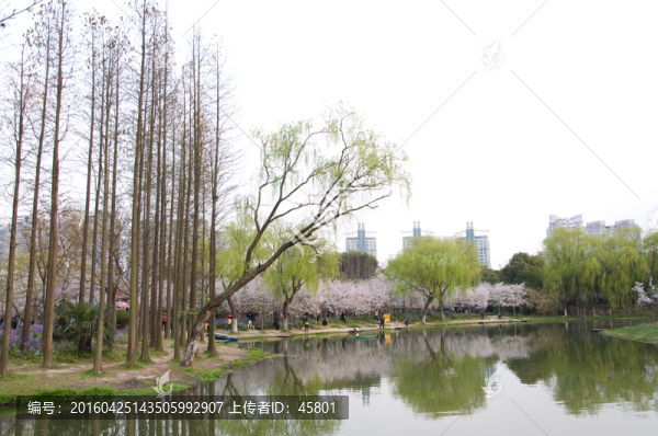 森林公園