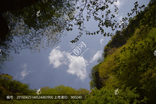 山