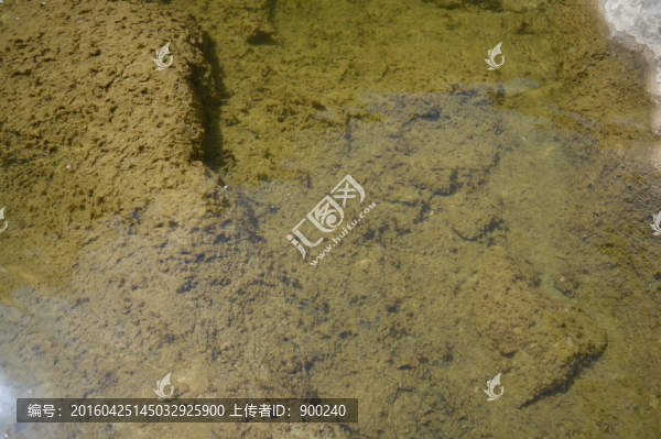 水面