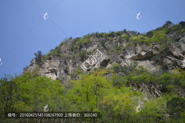 山