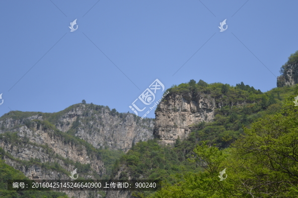 山