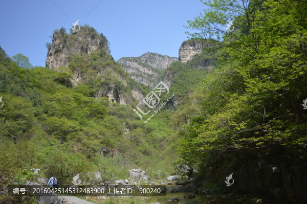山