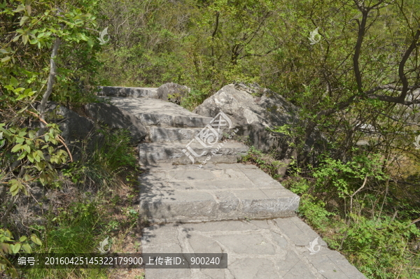 山間小路