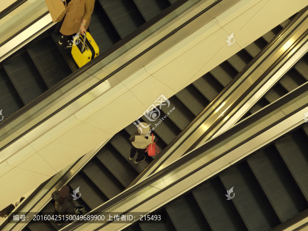 電梯,構成