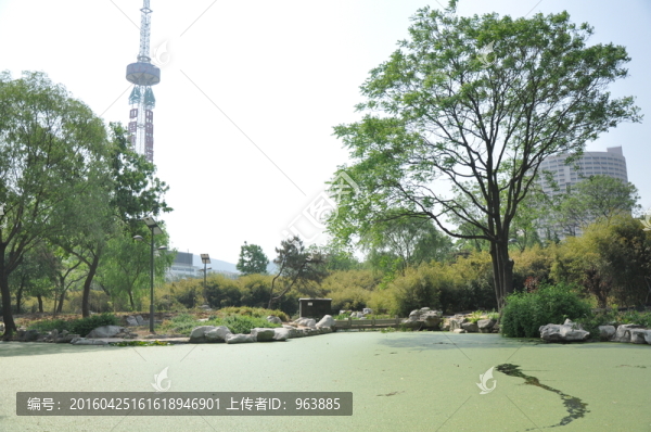 湖中景