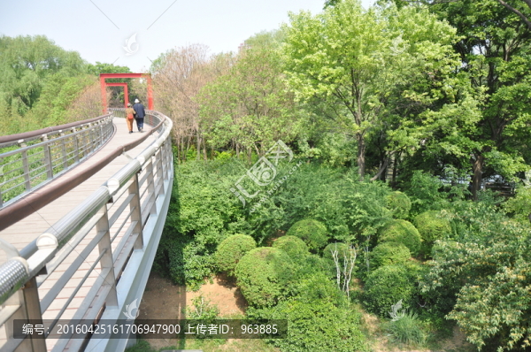 春色美景