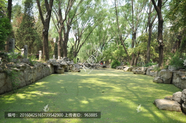 池塘風(fēng)景