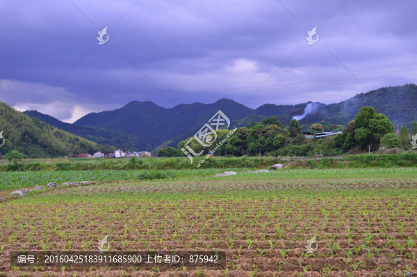 田園風(fēng)光