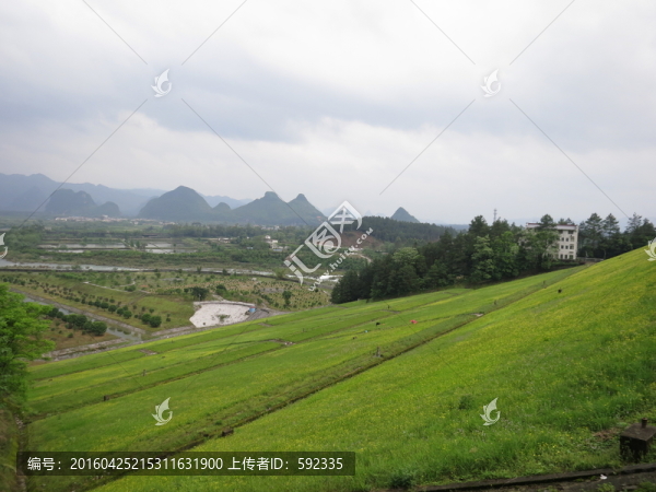 青獅潭