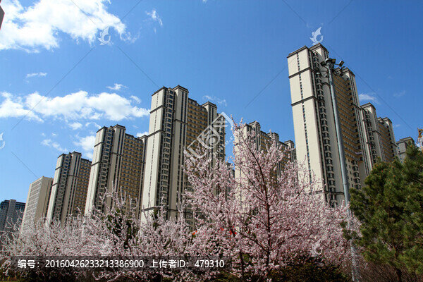 桃紅柳綠,花卉,花樹,樓區(qū)