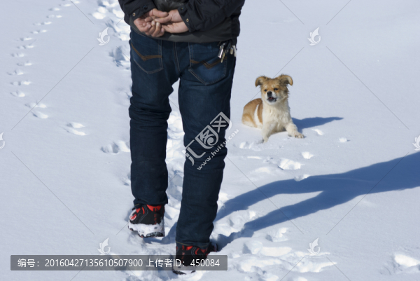 小狗和它的主人