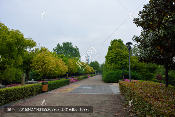 南京綠博園