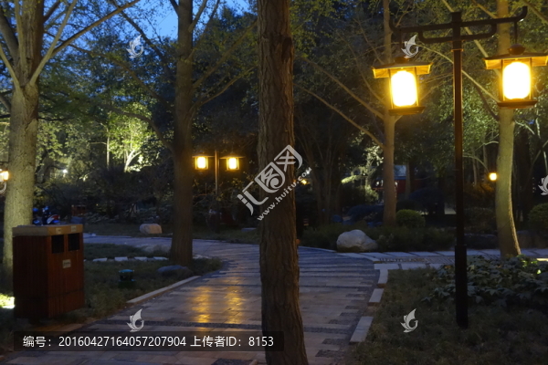 公園夜景