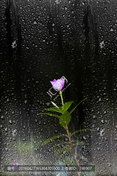 玻璃和花