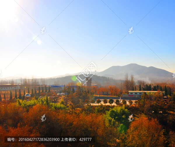 園林風景,,公園風景