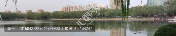 龍?zhí)逗捚溜L(fēng)景