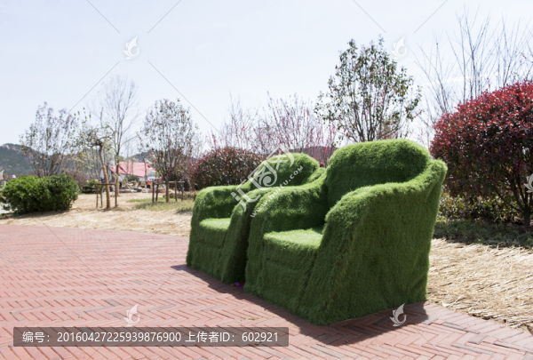 綠沙發(fā)