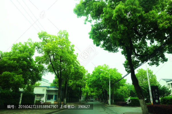 工業(yè)區(qū)道路