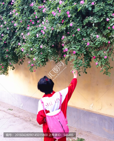 小學生,摘花